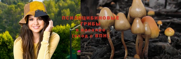 гидропоника Богородицк
