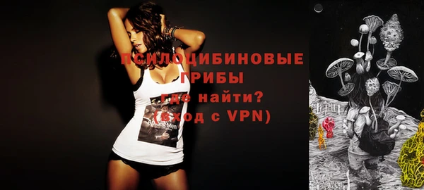 тгк Беломорск