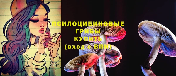 марки nbome Бородино