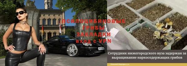 мдпв Богородск