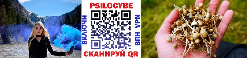 Псилоцибиновые грибы Psilocybine cubensis Улан-Удэ